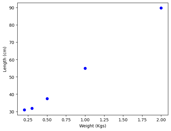 Hooke's Law