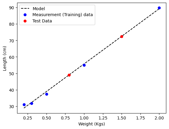 Hooke's Law